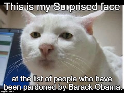 Surprised Face | This is my Surprised face; at the list of people who have been pardoned by Barack Obama. | image tagged in surprised face | made w/ Imgflip meme maker