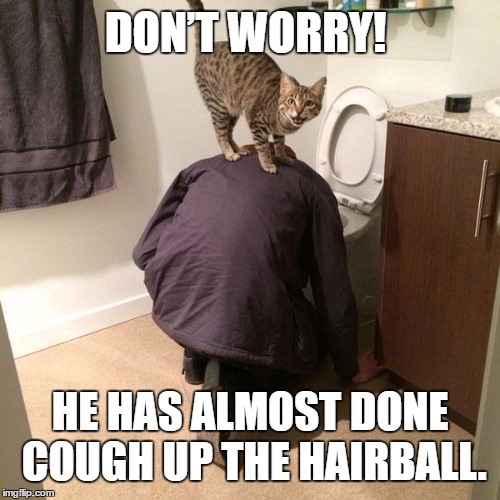 Hairballs | DON’T WORRY! HE HAS ALMOST DONE COUGH UP THE HAIRBALL. | image tagged in cat on back,cats,funny memes | made w/ Imgflip meme maker