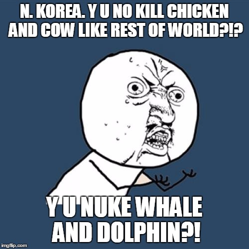 Y U No Meme | N. KOREA. Y U NO KILL CHICKEN AND COW LIKE REST OF WORLD?!? Y U NUKE WHALE AND DOLPHIN?! | image tagged in memes,y u no | made w/ Imgflip meme maker