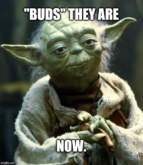 Star Wars Yoda Meme | "BUDS" THEY ARE NOW. | image tagged in memes,star wars yoda | made w/ Imgflip meme maker