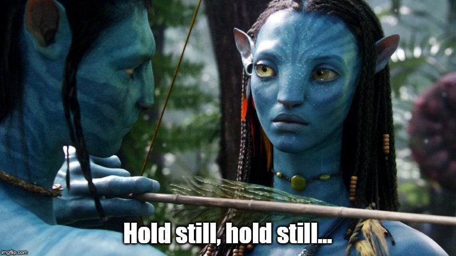 Avatar lesson | Hold still, hold still... | image tagged in avatar lesson | made w/ Imgflip meme maker