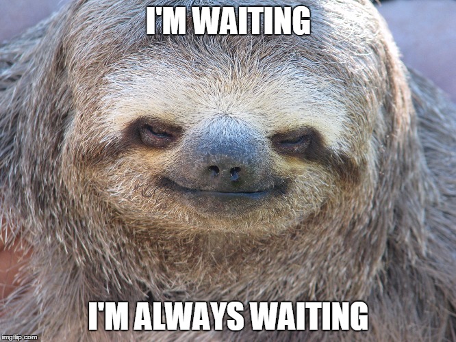 sloth waiting | I'M WAITING; I'M ALWAYS WAITING | image tagged in funny | made w/ Imgflip meme maker