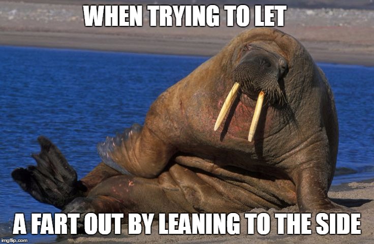 beach body | WHEN TRYING TO LET; A FART OUT BY LEANING TO THE SIDE | image tagged in beach body | made w/ Imgflip meme maker
