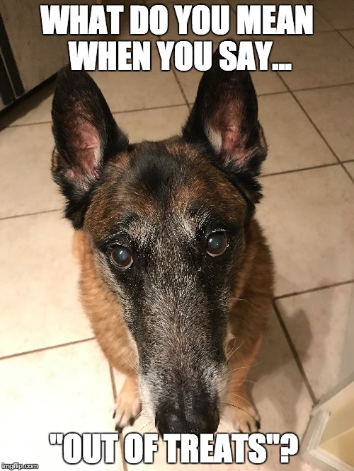 WHAT DO YOU MEAN WHEN YOU SAY... "OUT OF TREATS"? | image tagged in dog,treats | made w/ Imgflip meme maker