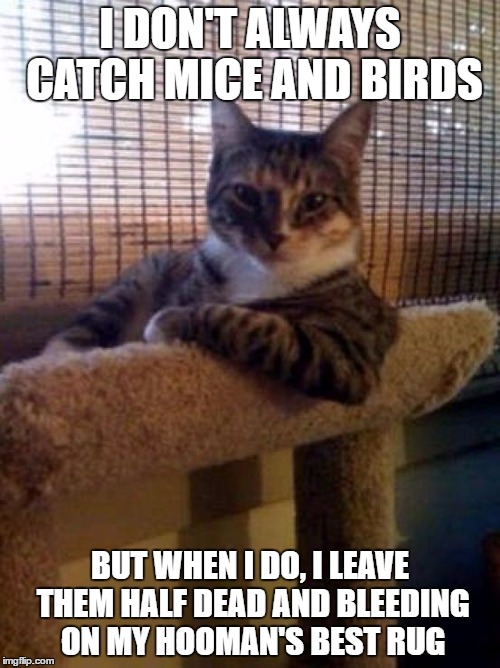 The Most Interesting Cat In The World Meme | I DON'T ALWAYS CATCH MICE AND BIRDS; BUT WHEN I DO, I LEAVE THEM HALF DEAD AND BLEEDING ON MY HOOMAN'S BEST RUG | image tagged in memes,the most interesting cat in the world | made w/ Imgflip meme maker