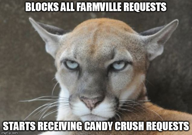 Annoyed Puma - farmville requests | BLOCKS ALL FARMVILLE REQUESTS; STARTS RECEIVING CANDY CRUSH REQUESTS | image tagged in annoyed puma | made w/ Imgflip meme maker