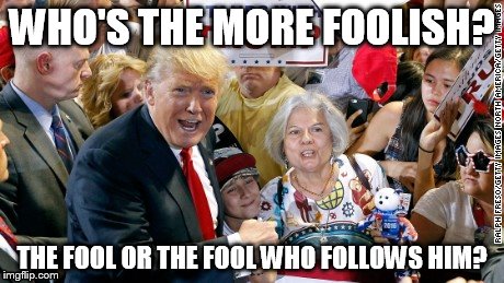 Dumb and Dumber | WHO'S THE MORE FOOLISH? THE FOOL OR THE FOOL WHO FOLLOWS HIM? | image tagged in trump,election 2016 aftermath | made w/ Imgflip meme maker