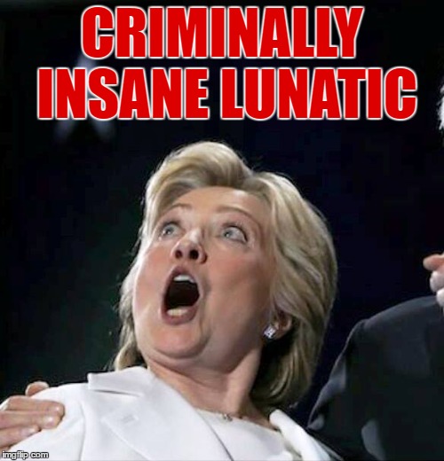 CRIMINALLY INSANE LUNATIC | made w/ Imgflip meme maker