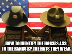 Drill Sergeant Hat | HOW TO IDENTIFY THE HORSES ASS IN THE RANKS BY THE HATS THEY WEAR | image tagged in us army,drill sergeant,army hats,how to be a dick in the army,horses ass | made w/ Imgflip meme maker