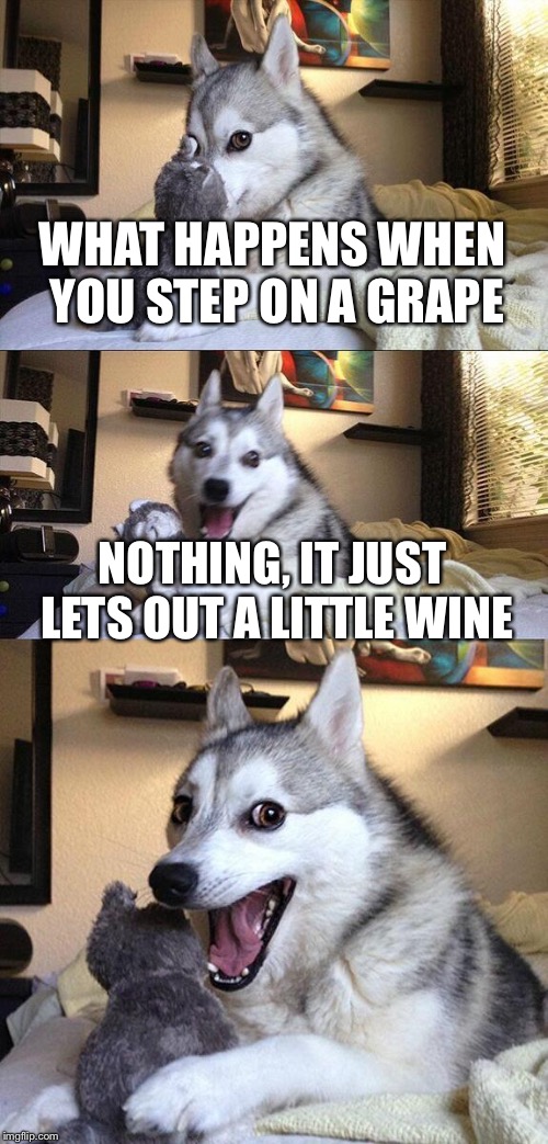 Bad Pun Dog Meme | WHAT HAPPENS WHEN YOU STEP ON A GRAPE; NOTHING, IT JUST LETS OUT A LITTLE WINE | image tagged in memes,bad pun dog | made w/ Imgflip meme maker