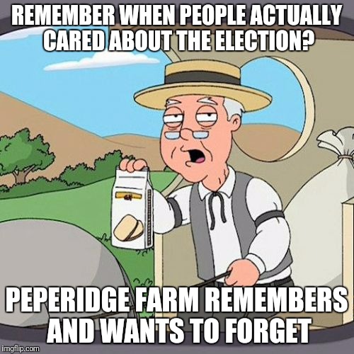 Pepperidge Farm Remembers Meme | REMEMBER WHEN PEOPLE ACTUALLY CARED ABOUT THE ELECTION? PEPERIDGE FARM REMEMBERS AND WANTS TO FORGET | image tagged in memes,pepperidge farm remembers | made w/ Imgflip meme maker