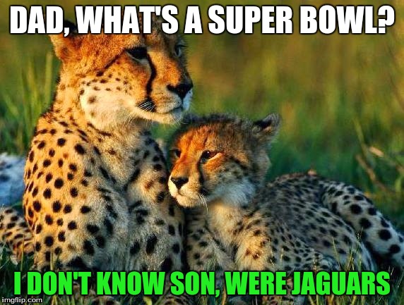 Jaguars Fans be like | DAD, WHAT'S A SUPER BOWL? I DON'T KNOW SON, WERE JAGUARS | image tagged in nfl,jaguars,superbowl | made w/ Imgflip meme maker