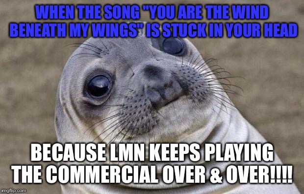 Awkward Moment Sealion Meme | WHEN THE SONG "YOU ARE THE WIND BENEATH MY WINGS" IS STUCK IN YOUR HEAD; BECAUSE LMN KEEPS PLAYING THE COMMERCIAL OVER & OVER!!!! | image tagged in memes,awkward moment sealion | made w/ Imgflip meme maker