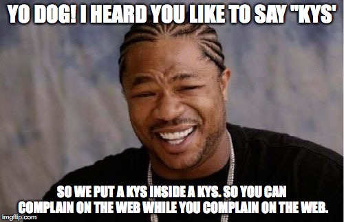 Yo Dawg Heard You Meme | YO DOG! I HEARD YOU LIKE TO SAY "KYS'; SO WE PUT A KYS INSIDE A KYS. SO YOU CAN COMPLAIN ON THE WEB WHILE YOU COMPLAIN ON THE WEB. | image tagged in memes,yo dawg heard you | made w/ Imgflip meme maker