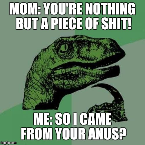 Philosoraptor | MOM: YOU'RE NOTHING BUT A PIECE OF SHIT! ME: SO I CAME FROM YOUR ANUS? | image tagged in memes,philosoraptor | made w/ Imgflip meme maker