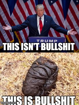 THIS ISN'T BULLSHIT; THIS IS BULLSHIT | image tagged in memes,donald trump,poop | made w/ Imgflip meme maker