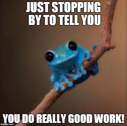 Small fact frog | JUST STOPPING BY TO TELL YOU; YOU DO REALLY GOOD WORK! | image tagged in small fact frog | made w/ Imgflip meme maker