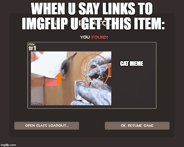 You got tf2 shit | WHEN U SAY LINKS TO IMGFLIP U GET THIS ITEM:; CAT MEME | image tagged in you got tf2 shit | made w/ Imgflip meme maker