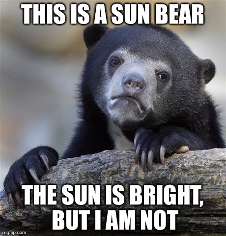 Confession Bear | THIS IS A SUN BEAR; THE SUN IS BRIGHT, BUT I AM NOT | image tagged in memes,confession bear | made w/ Imgflip meme maker