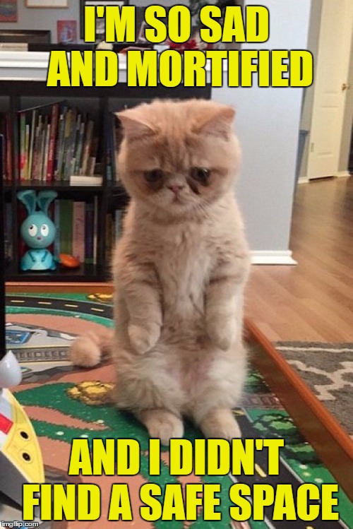 sad standing cat  | I'M SO SAD AND MORTIFIED; AND I DIDN'T FIND A SAFE SPACE | image tagged in memes,standing cat,safe space | made w/ Imgflip meme maker