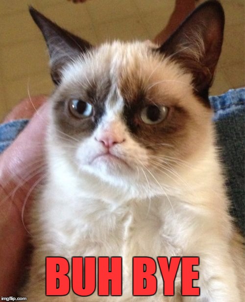 Grumpy Cat Meme | BUH BYE | image tagged in memes,grumpy cat | made w/ Imgflip meme maker