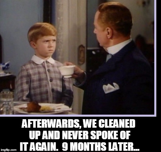 It Wasn't What You Might Call "enjoyable" | AFTERWARDS, WE CLEANED UP AND NEVER SPOKE OF IT AGAIN.  9 MONTHS LATER... | image tagged in vince vance,facts of life,father and son,father to son,father son talks,william powell | made w/ Imgflip meme maker