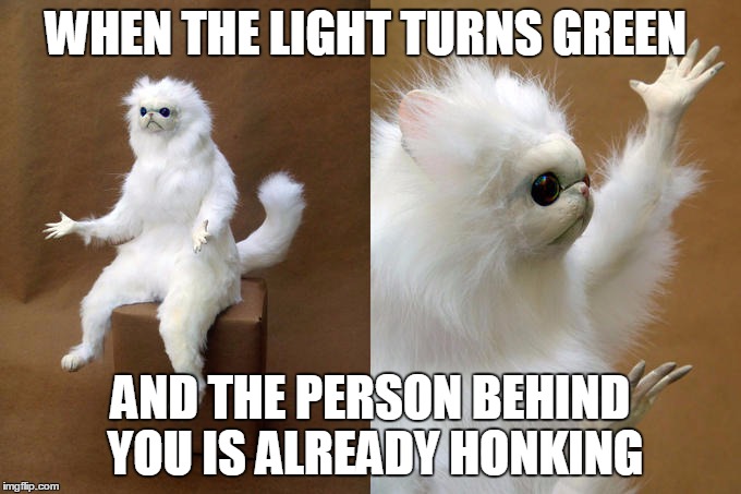 3 second rule pal... | WHEN THE LIGHT TURNS GREEN; AND THE PERSON BEHIND YOU IS ALREADY HONKING | image tagged in memes,persian cat room guardian | made w/ Imgflip meme maker