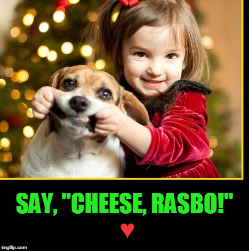 A Dog's Life | SAY, "CHEESE, RASBO!"; ♥ | image tagged in vince vance,christmas photo,little girl,getting dog to smile for camera | made w/ Imgflip meme maker