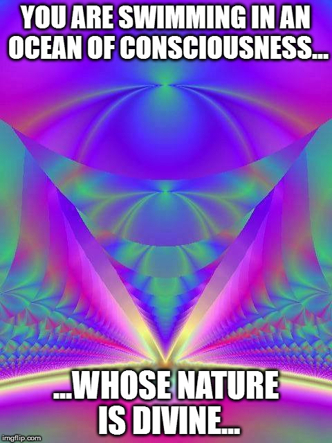 whose nature is divine consciousness | YOU ARE SWIMMING IN AN OCEAN OF CONSCIOUSNESS... ...WHOSE NATURE IS DIVINE... | image tagged in consciousness,divine | made w/ Imgflip meme maker