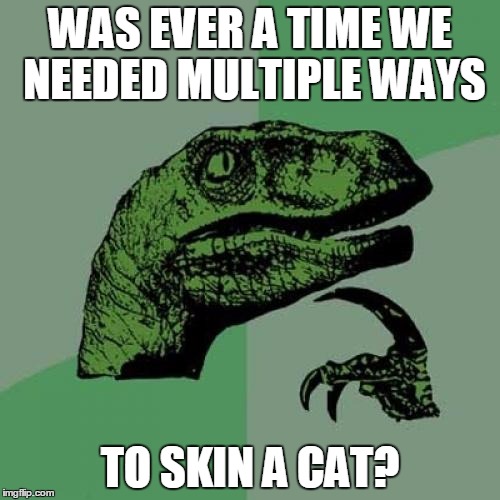 Philosoraptor Meme | WAS EVER A TIME WE NEEDED MULTIPLE WAYS; TO SKIN A CAT? | image tagged in memes,philosoraptor | made w/ Imgflip meme maker