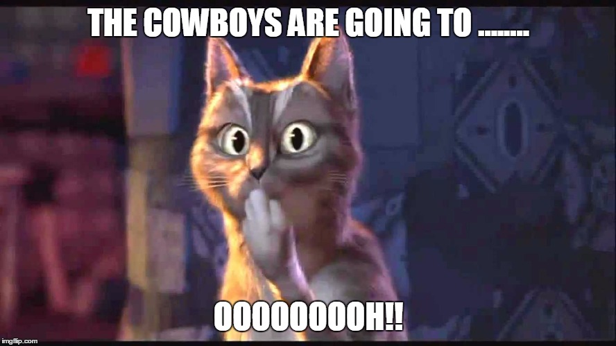 Ooh Cat | THE COWBOYS ARE GOING TO ........ OOOOOOOOH!! | image tagged in ooh cat | made w/ Imgflip meme maker