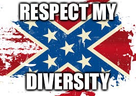 Respect goes both ways | RESPECT MY; DIVERSITY | image tagged in diversity,confederate flag | made w/ Imgflip meme maker