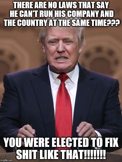 Donald Trump | THERE ARE NO LAWS THAT SAY HE CAN'T RUN HIS COMPANY AND THE COUNTRY AT THE SAME TIME??? YOU WERE ELECTED TO FIX SHIT LIKE THAT!!!!!!! | image tagged in donald trump | made w/ Imgflip meme maker