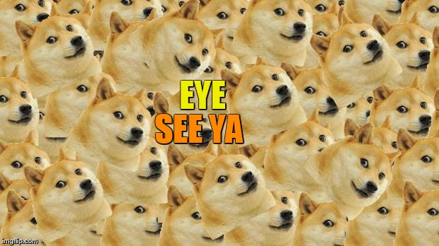 Multi Doge Meme | EYE; SEE YA | image tagged in memes,multi doge | made w/ Imgflip meme maker