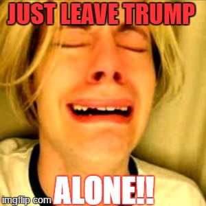 Leave Brittney alone | JUST LEAVE TRUMP; ALONE!! | image tagged in leave brittney alone | made w/ Imgflip meme maker