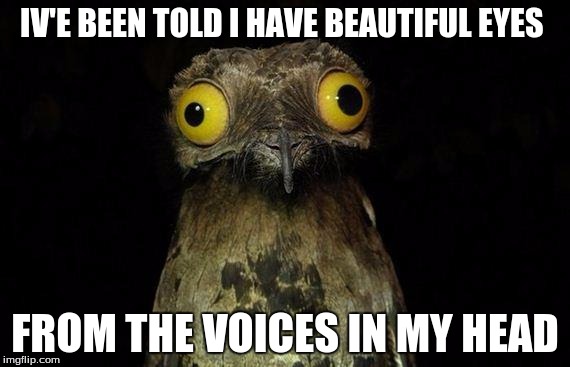 Weird Stuff I Do Potoo | IV'E BEEN TOLD I HAVE BEAUTIFUL EYES; FROM THE VOICES IN MY HEAD | image tagged in memes,weird stuff i do potoo | made w/ Imgflip meme maker
