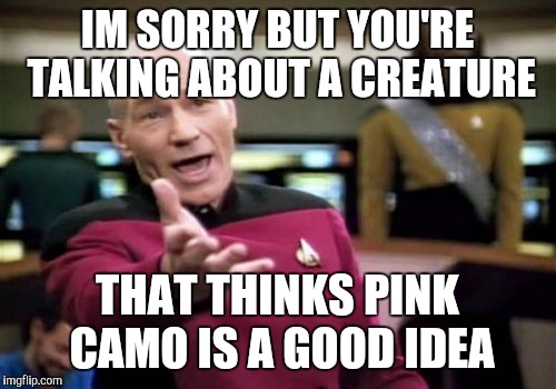 When someone talks about a woman president |  IM SORRY BUT YOU'RE TALKING ABOUT A CREATURE; THAT THINKS PINK CAMO IS A GOOD IDEA | image tagged in memes,picard wtf,politics,political meme,woman power,madam president | made w/ Imgflip meme maker