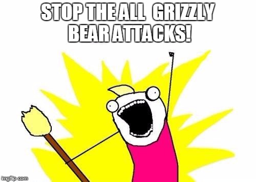 X All The Y Meme | STOP THE ALL  GRIZZLY BEAR ATTACKS! | image tagged in memes,x all the y | made w/ Imgflip meme maker