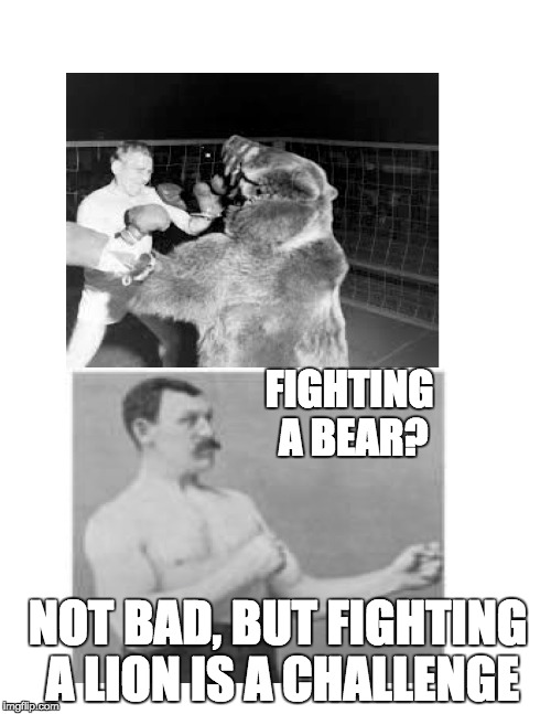 Manly man comments on bear fighting | FIGHTING A BEAR? NOT BAD, BUT FIGHTING A LION IS A CHALLENGE | image tagged in overly manly man,bear fighting | made w/ Imgflip meme maker