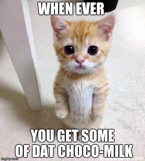 Cute Cat | WHEN EVER; YOU GET SOME OF DAT CHOCO-MILK | image tagged in memes,cute cat | made w/ Imgflip meme maker