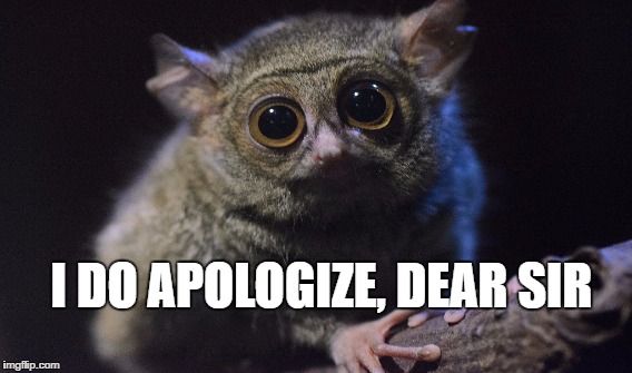 I DO APOLOGIZE, DEAR SIR | image tagged in apology | made w/ Imgflip meme maker