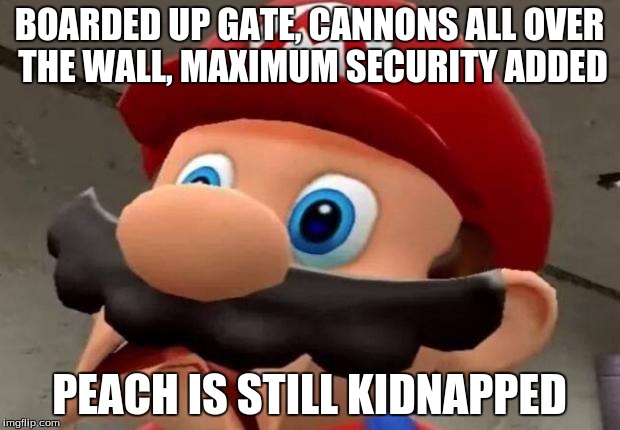 Mario WTF | BOARDED UP GATE, CANNONS ALL OVER THE WALL, MAXIMUM SECURITY ADDED; PEACH IS STILL KIDNAPPED | image tagged in mario wtf | made w/ Imgflip meme maker