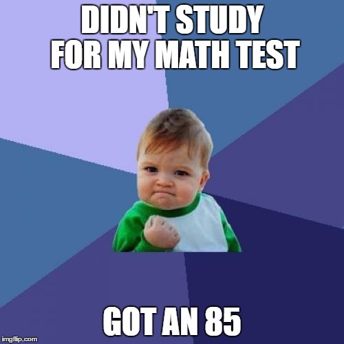 Success Kid Meme | DIDN'T STUDY FOR MY MATH TEST; GOT AN 85 | image tagged in memes,success kid | made w/ Imgflip meme maker