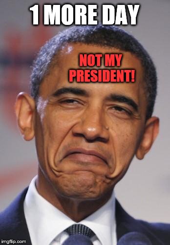 Obama smug face gone for good | 1 MORE DAY; NOT MY PRESIDENT! | image tagged in obamas funny face,memes | made w/ Imgflip meme maker