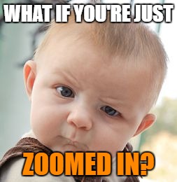 Skeptical Baby Meme | WHAT IF YOU'RE JUST ZOOMED IN? | image tagged in memes,skeptical baby | made w/ Imgflip meme maker