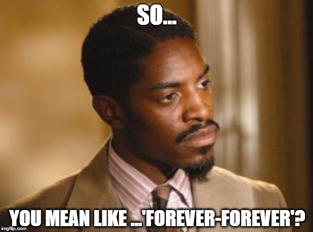 SO... YOU MEAN LIKE ...'FOREVER-FOREVER'? | image tagged in forever,andre 3000 | made w/ Imgflip meme maker