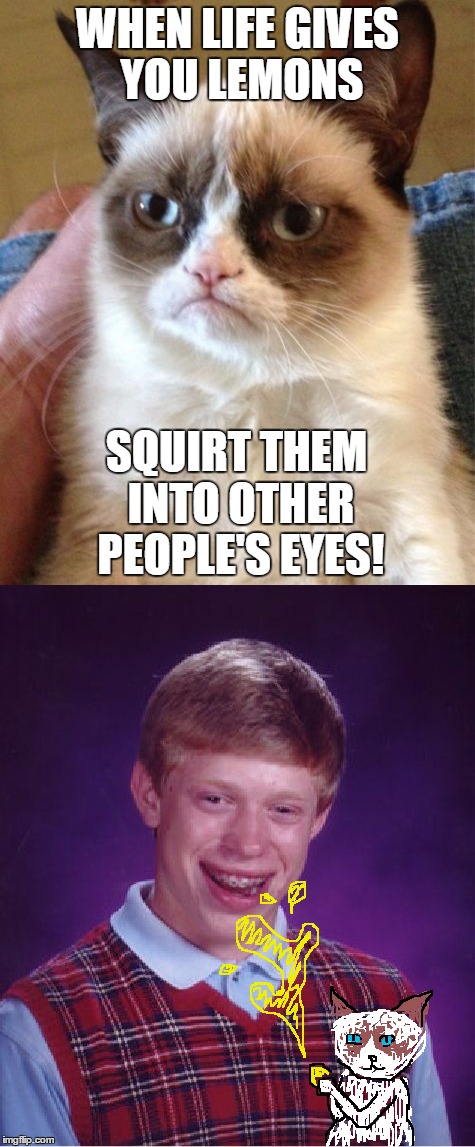 WHEN LIFE GIVES YOU LEMONS; SQUIRT THEM INTO OTHER PEOPLE'S EYES! | image tagged in grumpy cat,bad luck brian,memes,life,lemons,when life gives you lemons | made w/ Imgflip meme maker