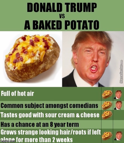 image tagged in trump vs potato | made w/ Imgflip meme maker