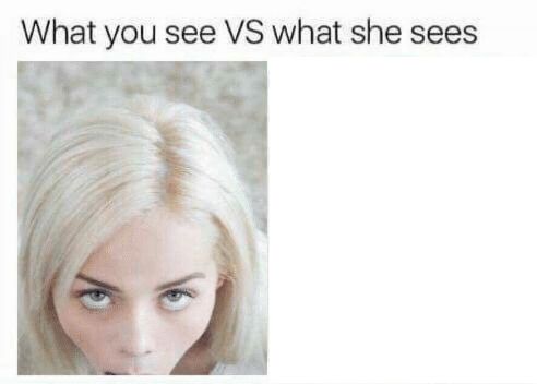 What you see vs what she sees Blank Meme Template