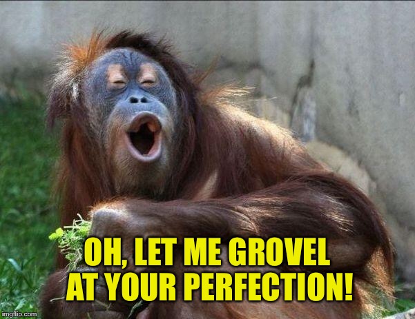 OH, LET ME GROVEL AT YOUR PERFECTION! | made w/ Imgflip meme maker